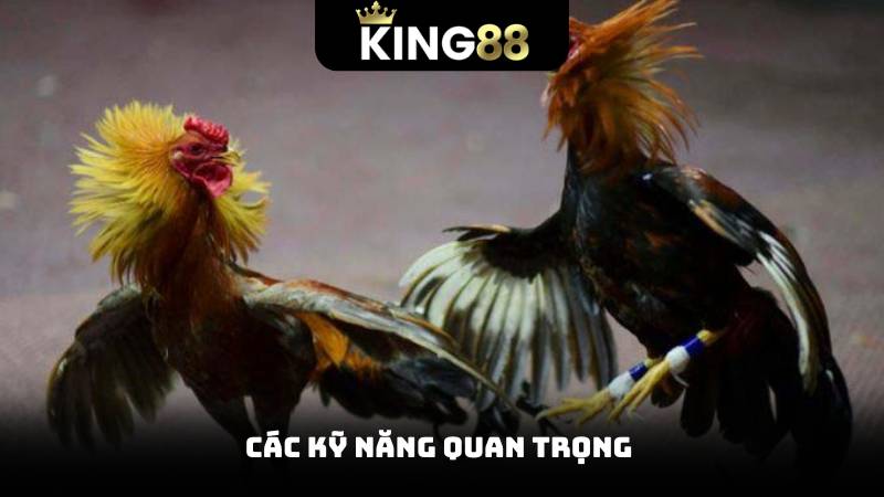Các kỹ năng quan trọng 