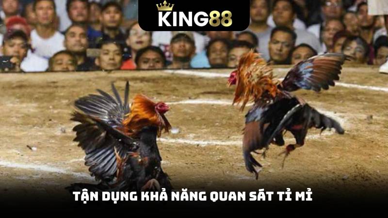 Tận dụng khả năng quan sát tỉ mỉ 